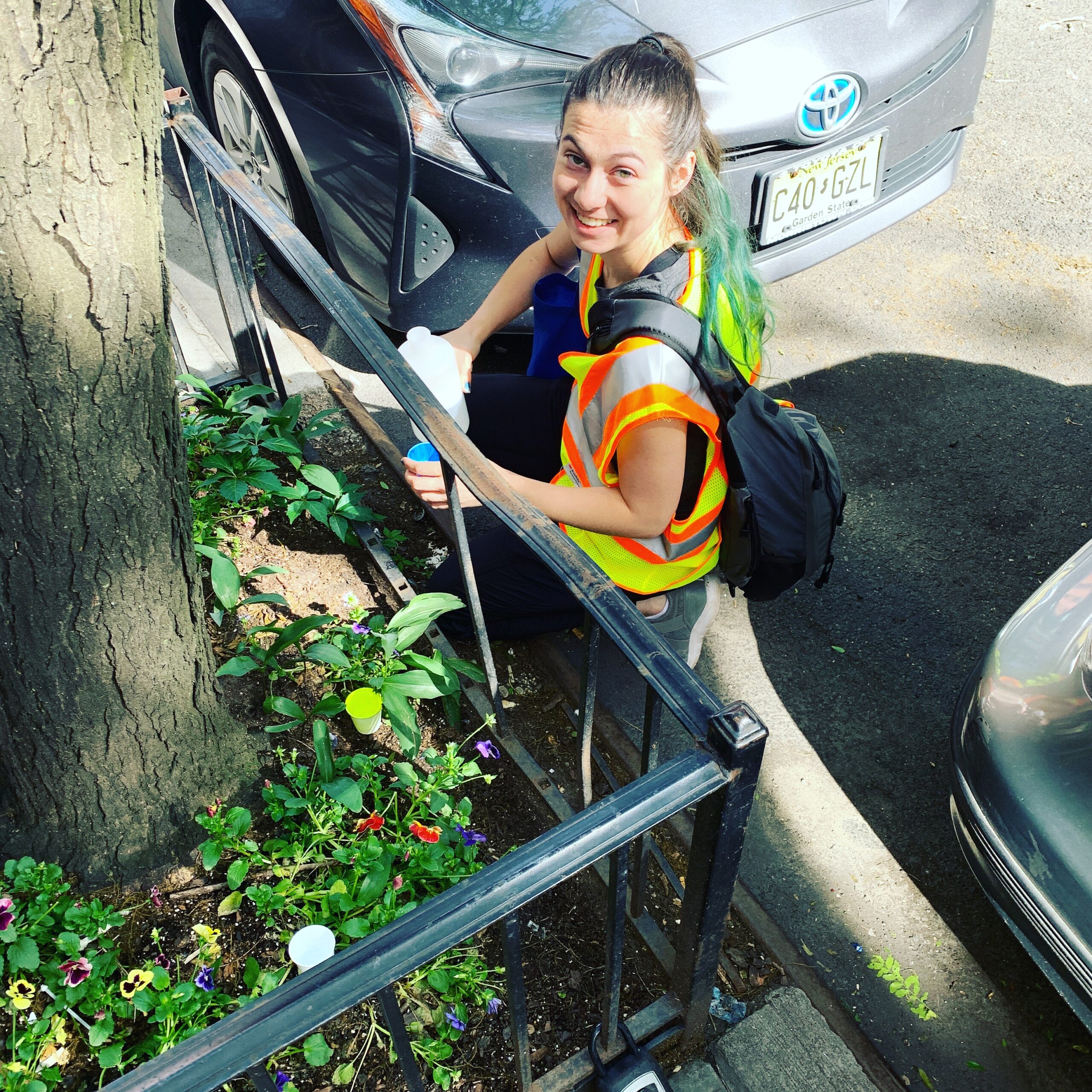 Student researcher sampling a New York City tree pit